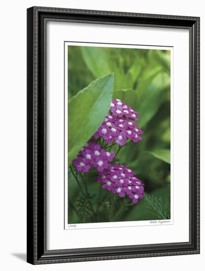 Flower Pool Garden-Stacy Bass-Framed Giclee Print