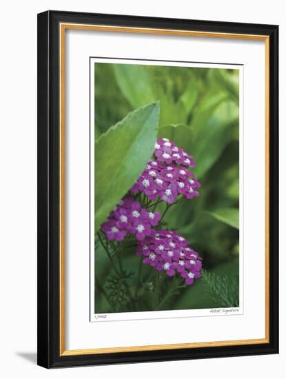 Flower Pool Garden-Stacy Bass-Framed Giclee Print