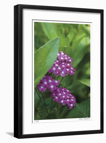 Flower Pool Garden-Stacy Bass-Framed Giclee Print