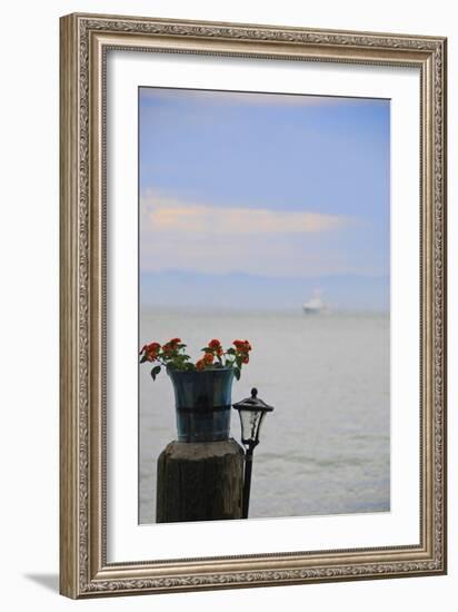 Flower Pot on Sausalito Pier, California-Anna Miller-Framed Photographic Print