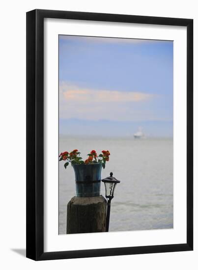 Flower Pot on Sausalito Pier, California-Anna Miller-Framed Photographic Print