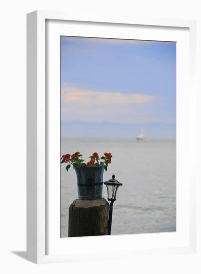 Flower Pot on Sausalito Pier, California-Anna Miller-Framed Photographic Print