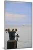 Flower Pot on Sausalito Pier, California-Anna Miller-Mounted Photographic Print