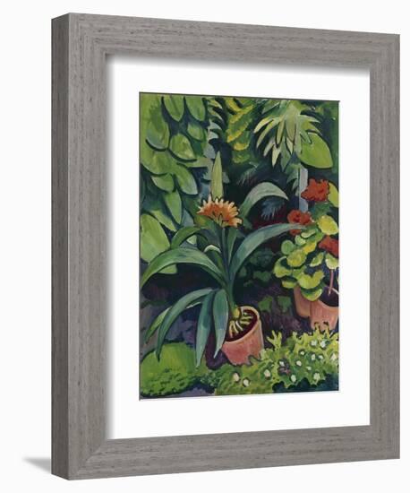 Flower Pots in a Garden: Bush Lilies and Pelargonidin, 1911-Auguste Macke-Framed Giclee Print