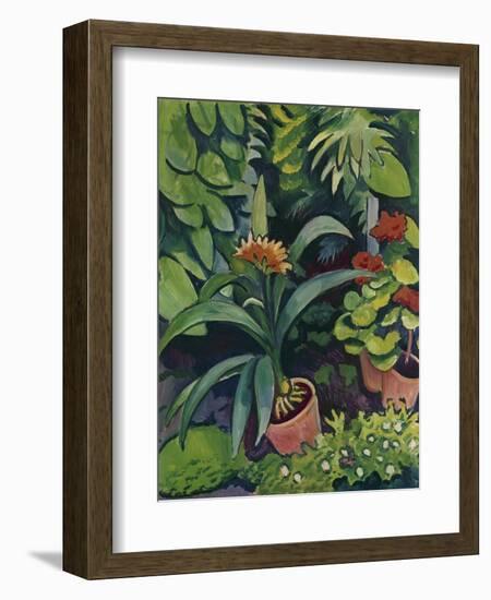 Flower Pots in a Garden: Bush Lilies and Pelargonidin, 1911-Auguste Macke-Framed Giclee Print