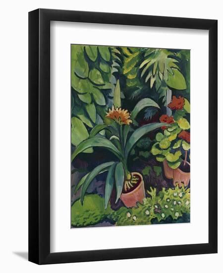 Flower Pots in a Garden: Bush Lilies and Pelargonidin, 1911-Auguste Macke-Framed Giclee Print