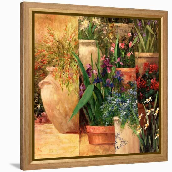 Flower Pots Left-Art Fronckowiak-Framed Stretched Canvas