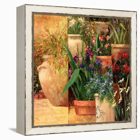 Flower Pots Left-Art Fronckowiak-Framed Stretched Canvas