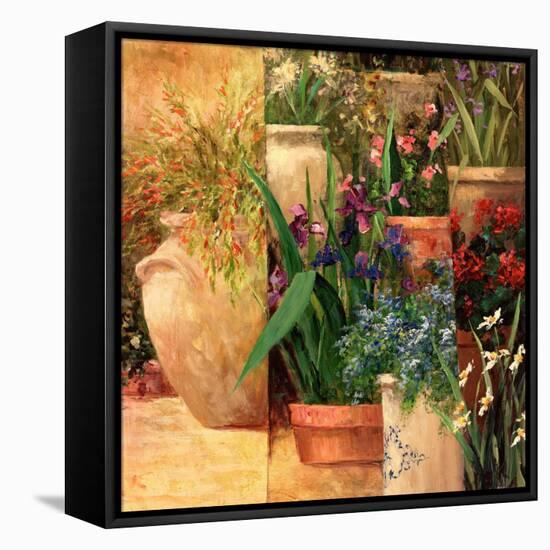 Flower Pots Left-Art Fronckowiak-Framed Stretched Canvas