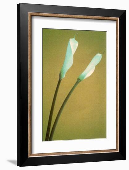 Flower Power III-null-Framed Art Print