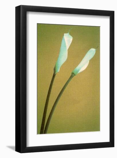 Flower Power III-null-Framed Art Print