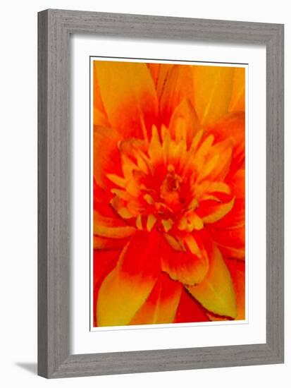 flower power-Kenny Primmer-Framed Art Print