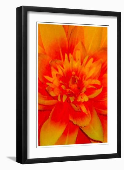 flower power-Kenny Primmer-Framed Art Print