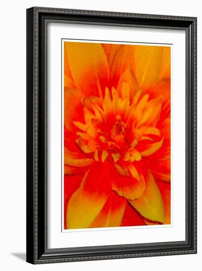 flower power-Kenny Primmer-Framed Art Print