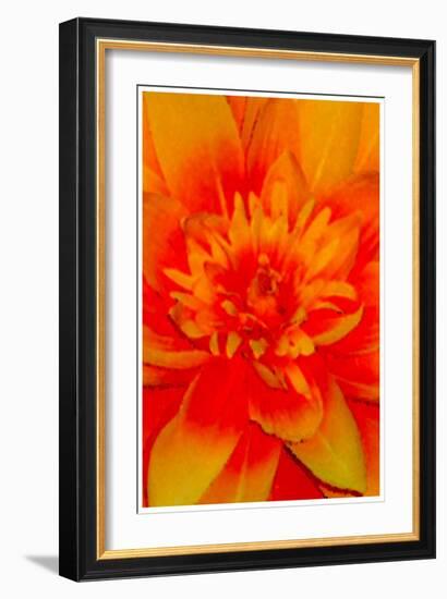 flower power-Kenny Primmer-Framed Art Print