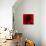 Flower Red Shade-Johan Lilja-Giclee Print displayed on a wall