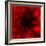 Flower Red Shade-Johan Lilja-Framed Giclee Print