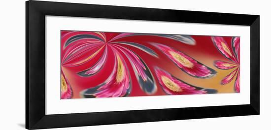 Flower Refracted in Waterdrop-Adam Jones-Framed Photographic Print