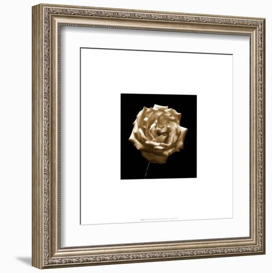 Flower Series III-Walter Gritsik-Framed Art Print