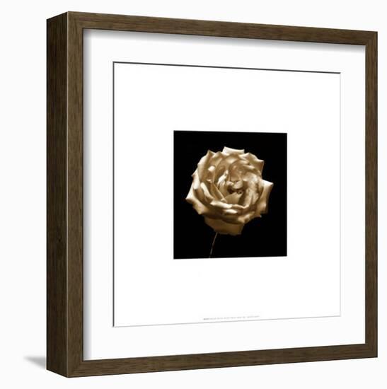 Flower Series III-Walter Gritsik-Framed Art Print