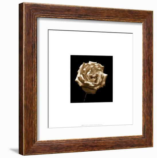 Flower Series III-Walter Gritsik-Framed Art Print