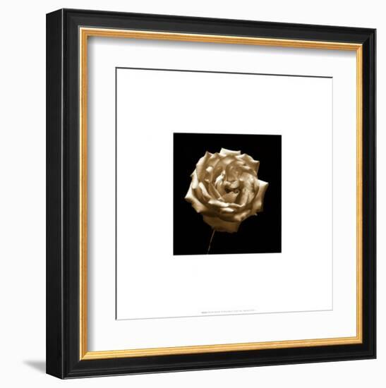 Flower Series III-Walter Gritsik-Framed Art Print