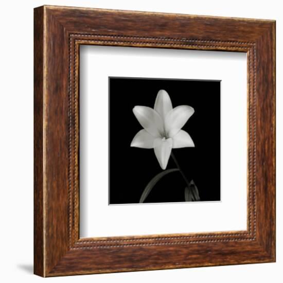 Flower Series VI-Walter Gritsik-Framed Art Print