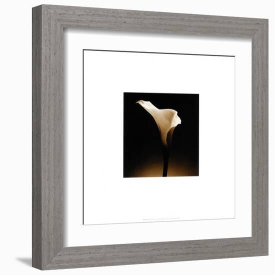 Flower Series XII-Walter Gritsik-Framed Art Print