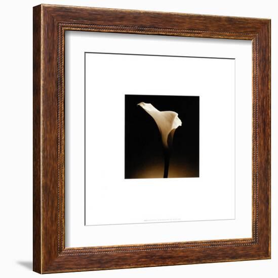 Flower Series XII-Walter Gritsik-Framed Art Print