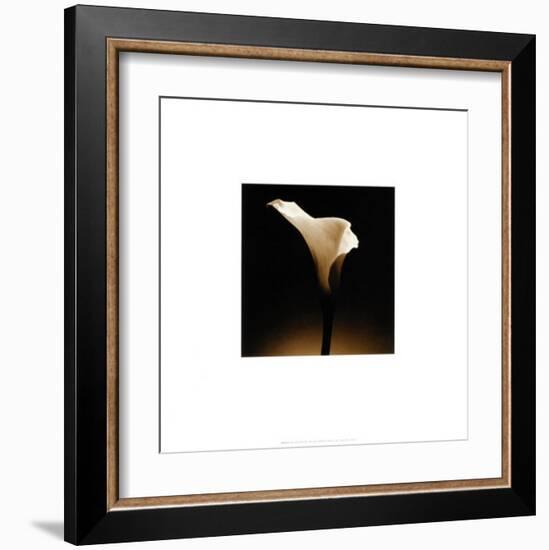 Flower Series XII-Walter Gritsik-Framed Art Print