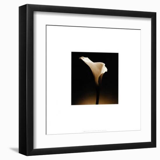 Flower Series XII-Walter Gritsik-Framed Art Print