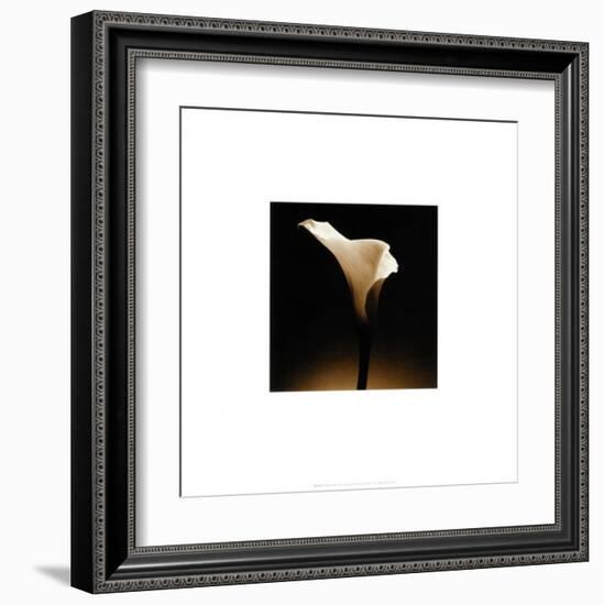 Flower Series XII-Walter Gritsik-Framed Art Print