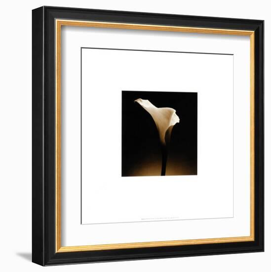 Flower Series XII-Walter Gritsik-Framed Art Print