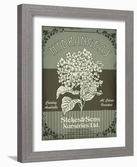 Flower Shop II-Fiona Stokes-Gilbert-Framed Giclee Print