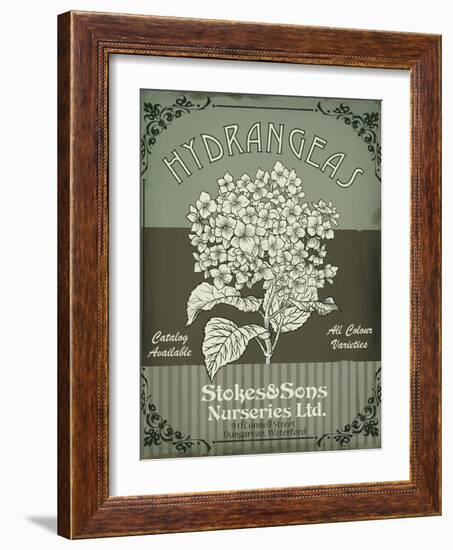 Flower Shop II-Fiona Stokes-Gilbert-Framed Giclee Print