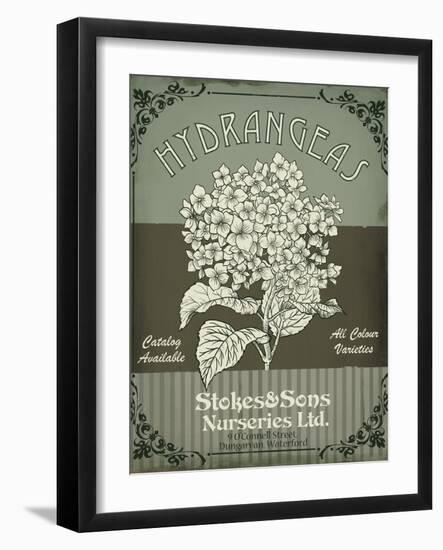 Flower Shop II-Fiona Stokes-Gilbert-Framed Giclee Print