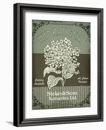 Flower Shop II-Fiona Stokes-Gilbert-Framed Giclee Print