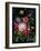 Flower Show II-Julia Purinton-Framed Art Print