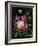 Flower Show II-Julia Purinton-Framed Art Print