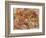 Flower Sketch, C.1914-Pierre-Auguste Renoir-Framed Giclee Print