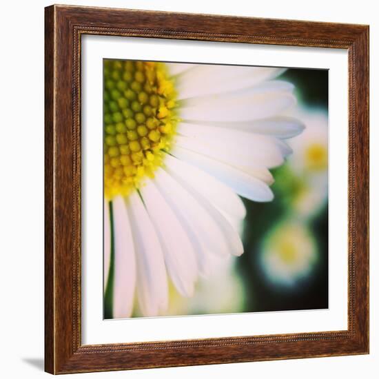 Flower Song-Vincent James-Framed Photographic Print