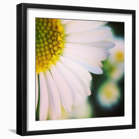 Flower Song-Vincent James-Framed Photographic Print