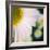 Flower Song-Vincent James-Framed Photographic Print