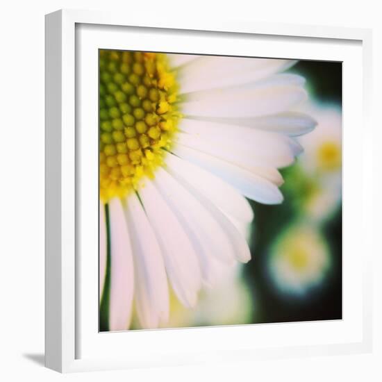 Flower Song-Vincent James-Framed Photographic Print