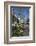 Flower Stall on Las Ramblas, Barcelona, Catalunya, Spain, Europe-James Emmerson-Framed Photographic Print