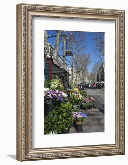 Flower Stall on Las Ramblas, Barcelona, Catalunya, Spain, Europe-James Emmerson-Framed Photographic Print