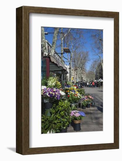 Flower Stall on Las Ramblas, Barcelona, Catalunya, Spain, Europe-James Emmerson-Framed Photographic Print