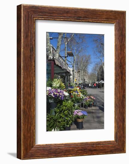 Flower Stall on Las Ramblas, Barcelona, Catalunya, Spain, Europe-James Emmerson-Framed Photographic Print