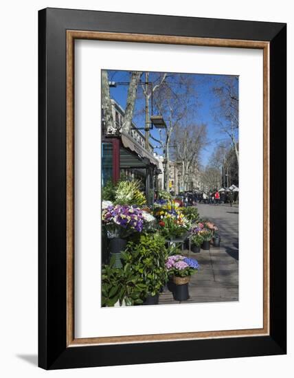 Flower Stall on Las Ramblas, Barcelona, Catalunya, Spain, Europe-James Emmerson-Framed Photographic Print