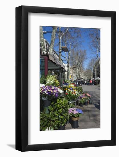 Flower Stall on Las Ramblas, Barcelona, Catalunya, Spain, Europe-James Emmerson-Framed Photographic Print